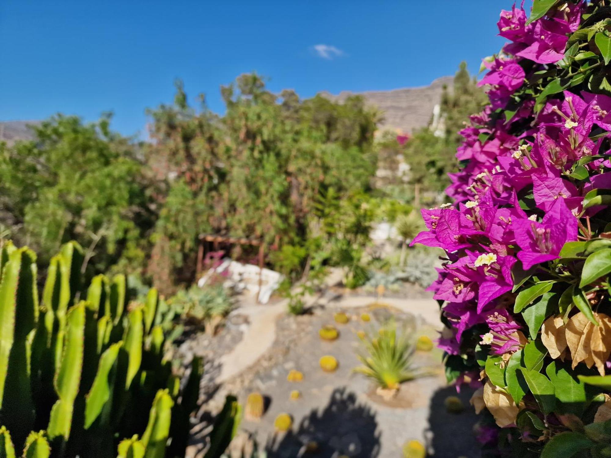 Вилла Historica Casa Con Vistas Al Jardin De Cactus Y Montanas Моган Экстерьер фото